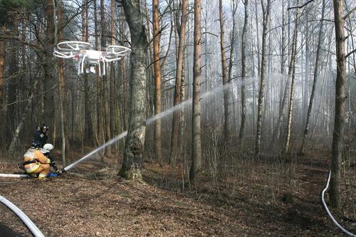 С начала сезона в Ленобласти произошло 48 лесных пожаров 