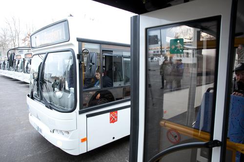 В Смольном одобрили законопроект о бесплатном проезде для льготников 