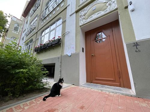 Петербуржцы чаще выбирают аренду жилья вместо ипотеки
