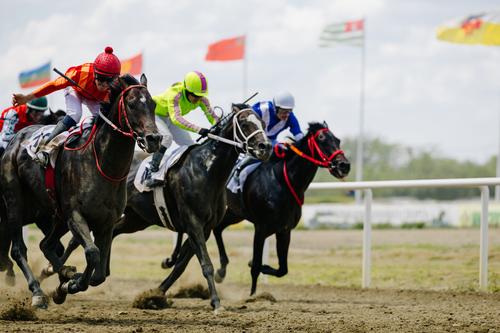 На Краснодарском ипподроме прошли скачки в честь Карачаевского конного завода