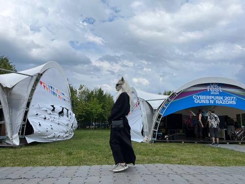 Гостей VK Fest 2024 в Петербурге испугали косплееры