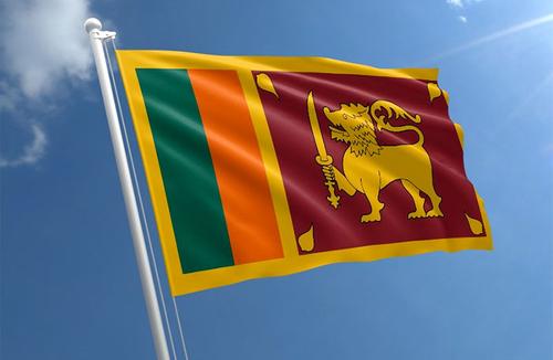 Шри-Ланка сообщила о гибели на Украине 17 ланкийцев и потребовала выплаты за них