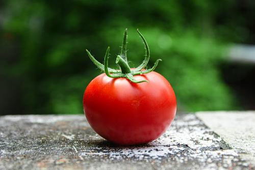 Диетолог Кабанов: помидоры нельзя есть натощак