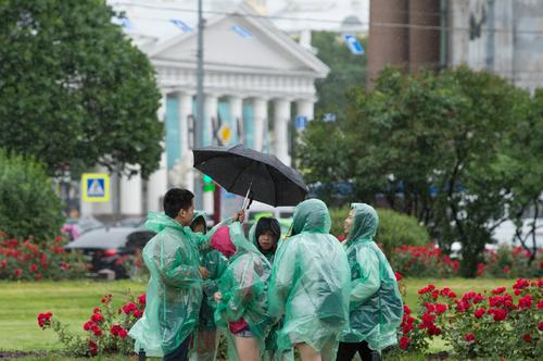 В Петербурге начал действовать «желтый» уровень опасности из-за непогоды