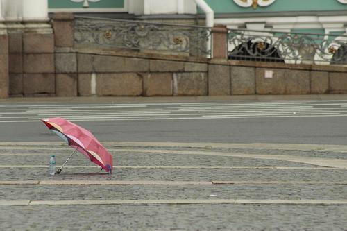 В Петербурге объявлен «желтый» уровень погодной опасности из-за грозы