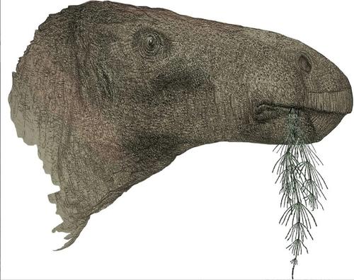Коллекционер окаменелостей обнаружил самого полного динозавра с 1923 года 