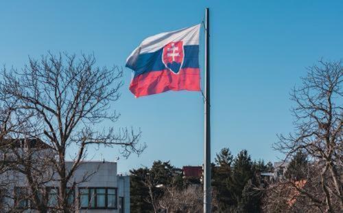 В Словакии не поддержали предложение осудить РФ за якобы удар по Киеву