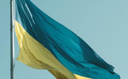Политолог Марков: возможно, Ирину Фарион убили по приказу властей Украины