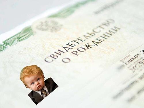 В России предложили сделать свидетельство о рождении похожим на паспорт