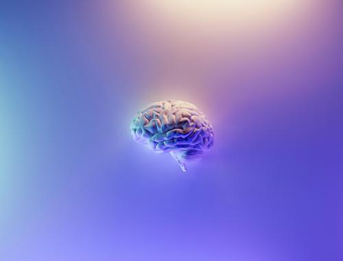 Ученые сделали спрей, помогающий улучшить память при Альцгеймере 