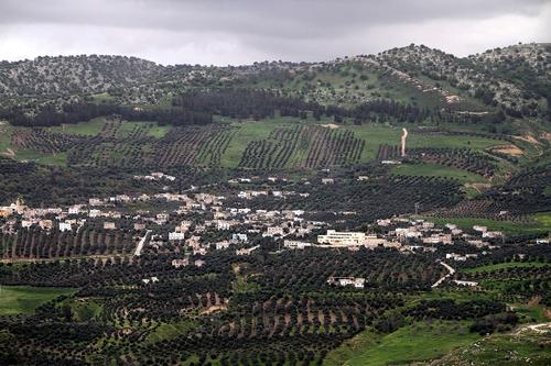 Ynet: Израиль не планирует полномасштабной войны с Ливаном 