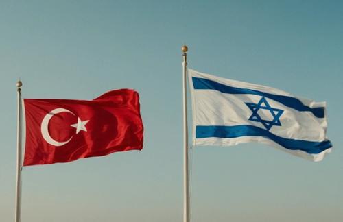Станет ли Турция хирургом вырезания искусственного новообразования Израиля на Ближнем Востоке? 