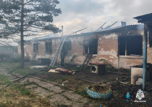 При пожаре в приюте в поселке Ванино погибли более 60 собак и кошек