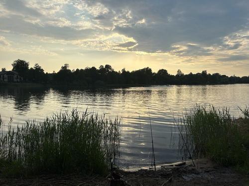 В Ленобласти с начала года на воде погибли 44 человека