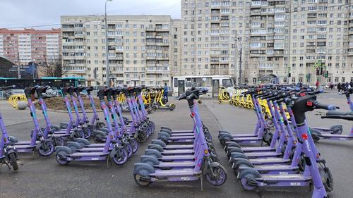 Приморский район назван самым подходящим для поездок на самокатах