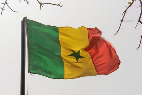 МИД Сенегала вызвал посла Украины из-за поддержки им террористов в Мали