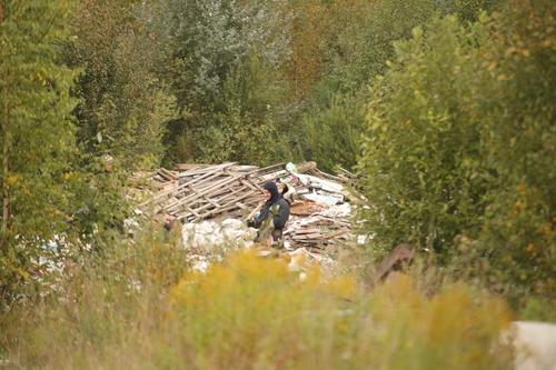 На земельном участке в Кингисеппском районе ликвидировали незаконную свалку