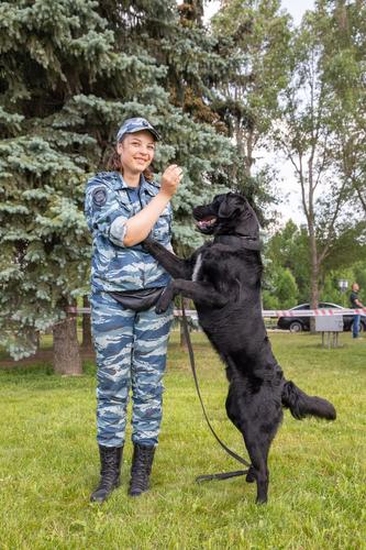 Музей Победы пригласил на бесплатный кинопоказ в День фронтовой собаки     