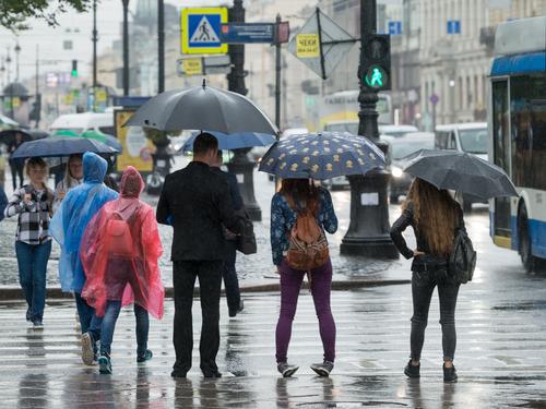 Ливни с грозами и град накроют Петербург в пятницу