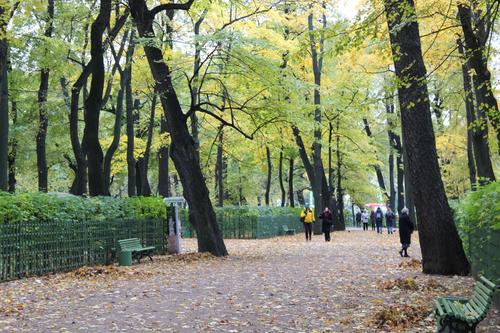 Петербург ждут теплые выходные с переменной облачностью