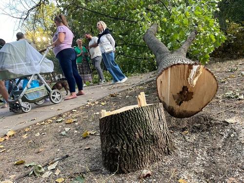 Жители московского района Хорошево-Мневники не зря понадеялись на Александра Бастрыкина — СК начал проверку по их обращению