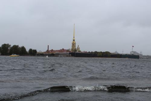 МЧС предупреждает жителей и гостей Петербурга о сильном ветре в субботу