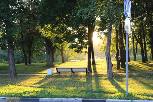 Петербург ждет потепление и бабье лето в середине октября