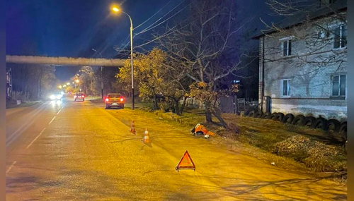 Хабаровчанин погиб, пытаясь перейти дорогу в неположенном месте