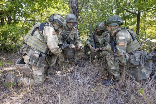 За месяц на территории ДНР спецназом Росгвардии обнаружено более двух тысяч снарядов и миномётных мин