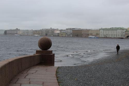 МЧС предупредило петербуржцев о сильном ветре во вторник