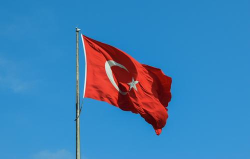 Турция заявит в Дохе о поддержке территориальной целостности Сирии