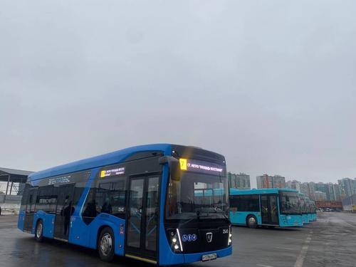 В Приморском районе Петербурга появятся полосы для общественного транспорта 