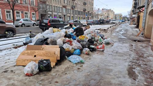 Горожане возмущены переполненными контейнерами в центре Петербурга  