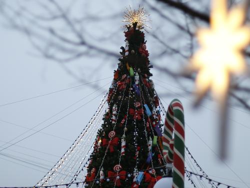 В преддверии Нового года жителей и гостей Петербурга ждет теплая погода