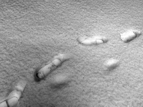 В Петербурге четыре месяца не могут найти пропавшего подростка