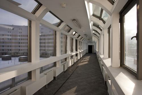 В Петербурге наблюдалось снижение роста заражения ВИЧ-инфекцией в 2024 году