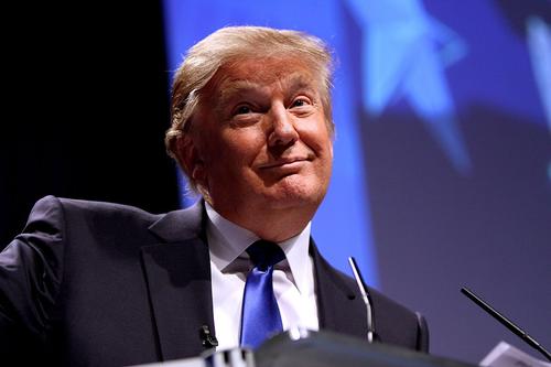 Трамп не верит в то, что назвал Зеленского диктатором и уверяет, что у него очень хорошие отношения с украинским лидером