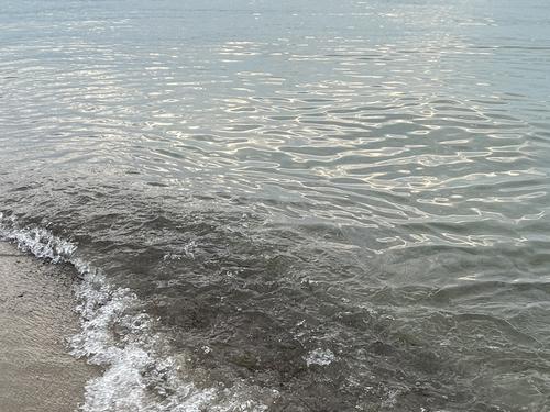 Бастрыкин поручил разобраться в деле о загрязнении Балтийского моря