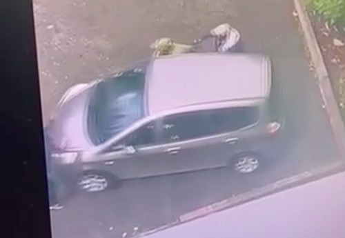 В Хабаровском районе осудили мужчину, наехавшего на полицейского