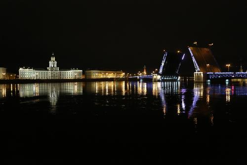 В честь 8 Марта на мостах Петербурга появится праздничная подсветка
