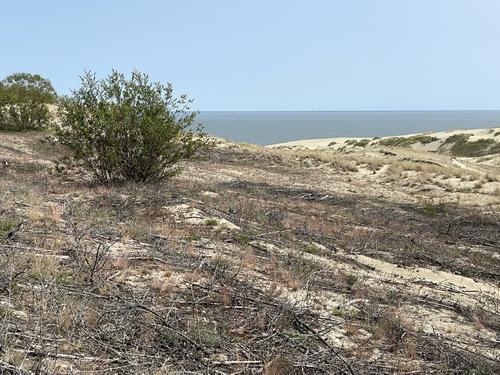 На праздничные выходные к морю в Калининградской области поедет больше людей