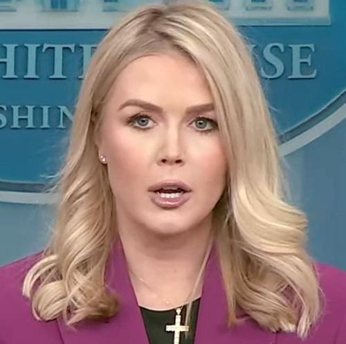 Левитт сообщила, что Трамп пока не планирует посещать Украину по приглашению Зеленского