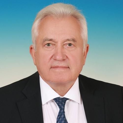 Депутат Ивлев назвал запоздалым признание Залужного о невозможности возврата Украины к границам 1991 года