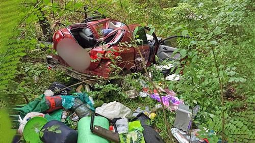 Летя с дороги, машина крышей плашмя ударилась о дерево