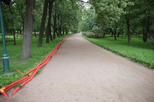Таврический сад стал местом сбора игрушек