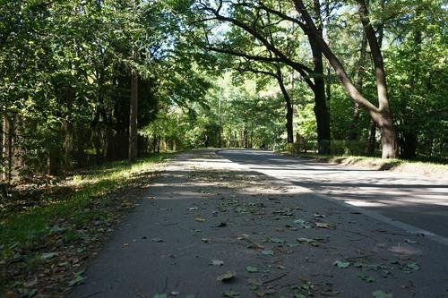 За май поисковики нашли больше 200 человек в Петербурге и Ленобласти