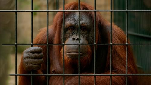 Тренер нанес подопечной нокаут Тренер нанес подопечной нокаут