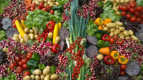 В России зафиксировали рост цен на продукты