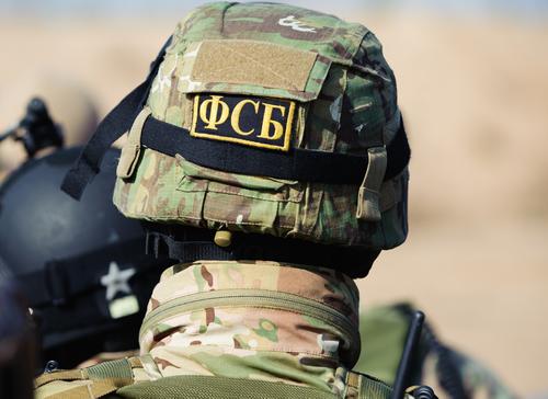 В Петербурге правоохранители уничтожили 530 килограммов наркотиков