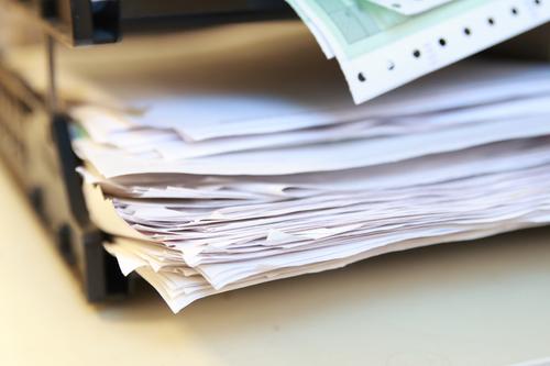 Депутата Парголово лишила мандата за сокрытие доходов